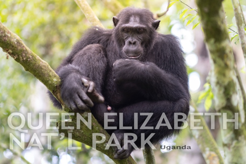 Queen Elizabeth Natl Park