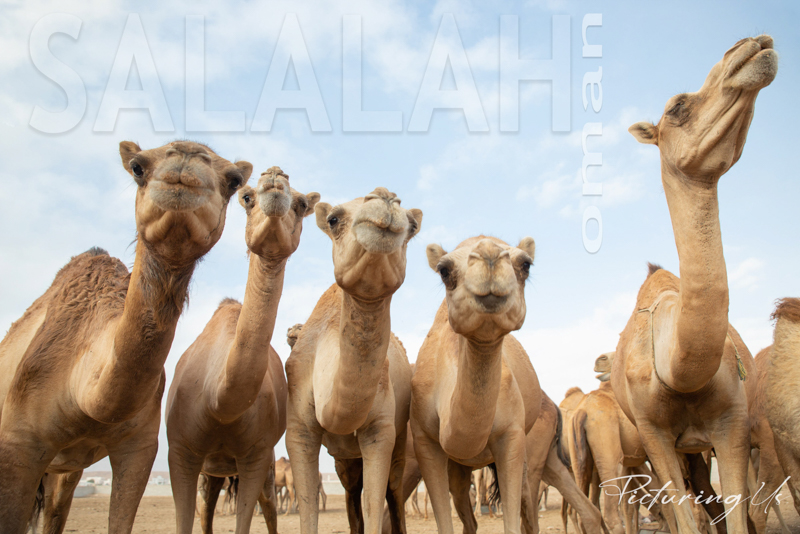 Salalah