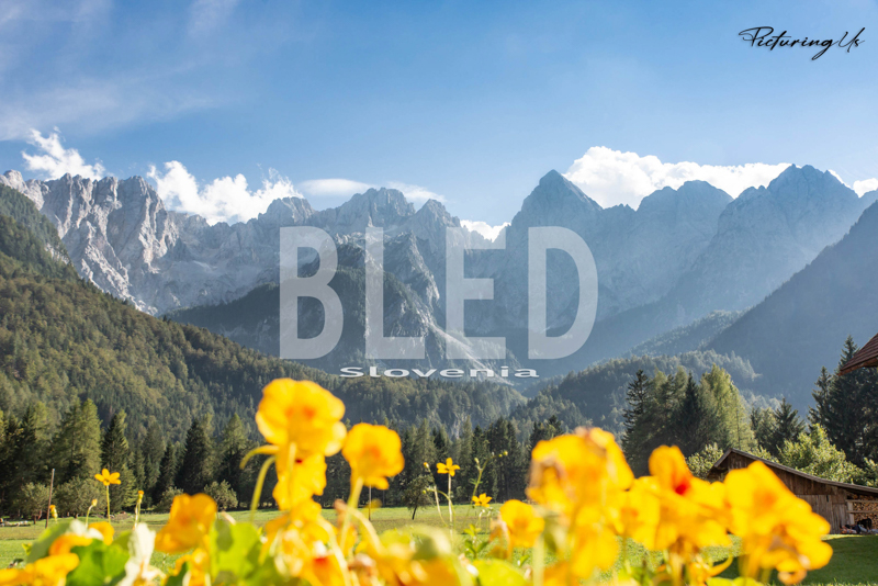 Bled