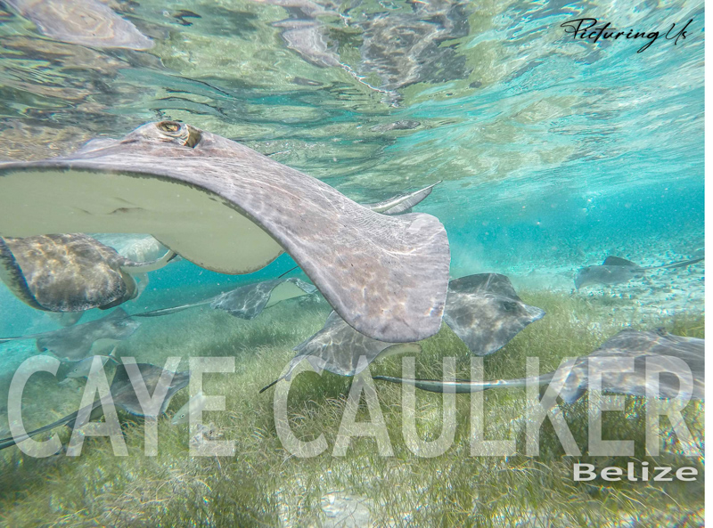 Caye Caulker