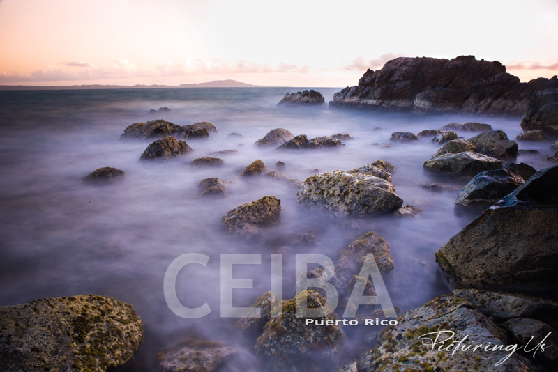 Ceiba