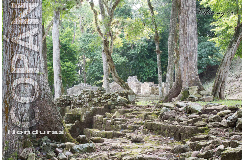 Copan