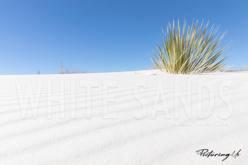 White Sands