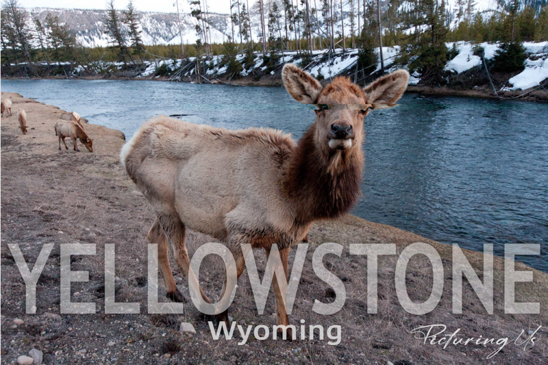 Yellowstone